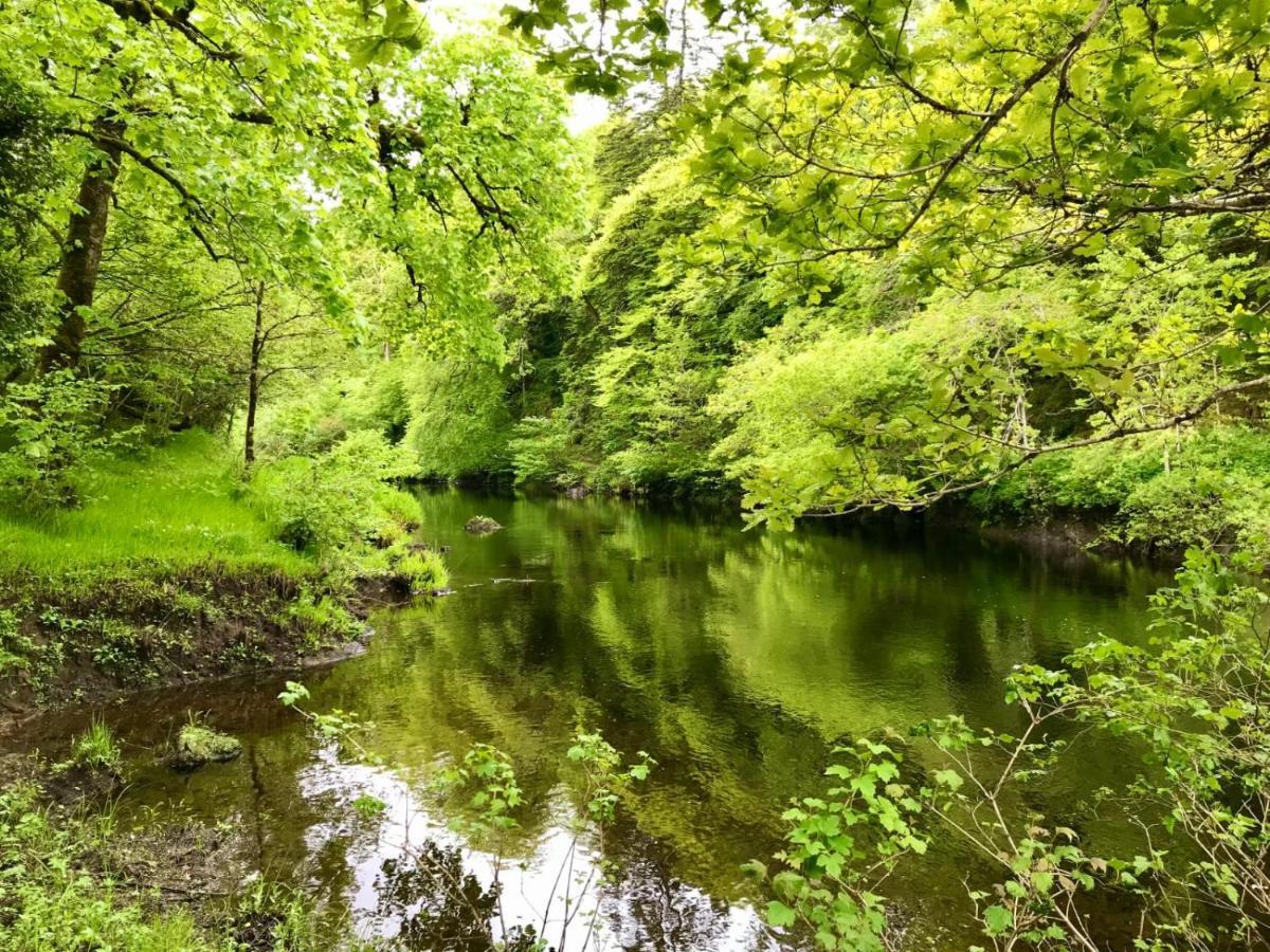 Kilronan Cottage Ballyconneely Εξωτερικό φωτογραφία