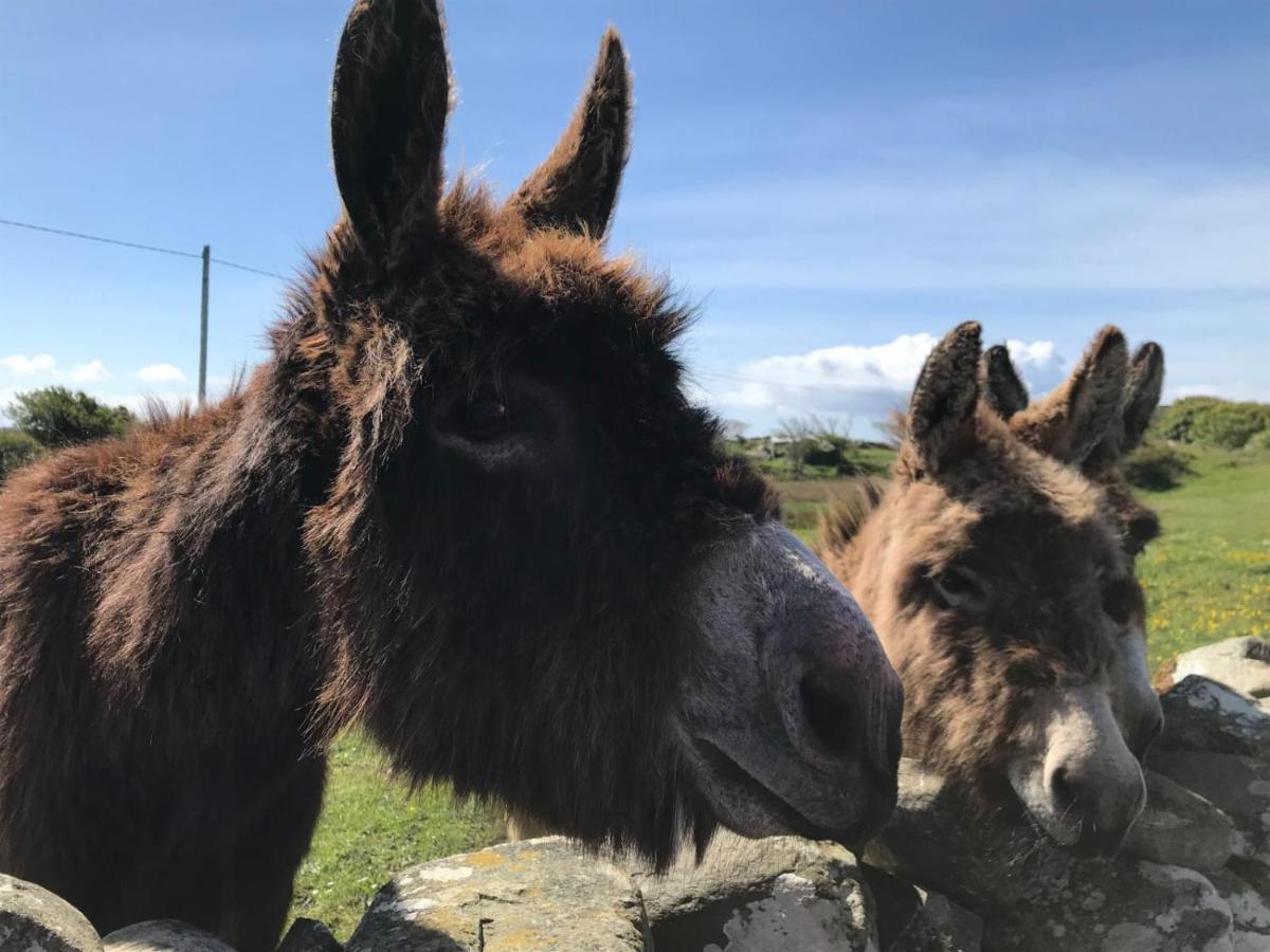 Kilronan Cottage Ballyconneely Εξωτερικό φωτογραφία