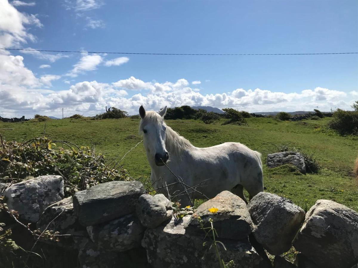Kilronan Cottage Ballyconneely Εξωτερικό φωτογραφία